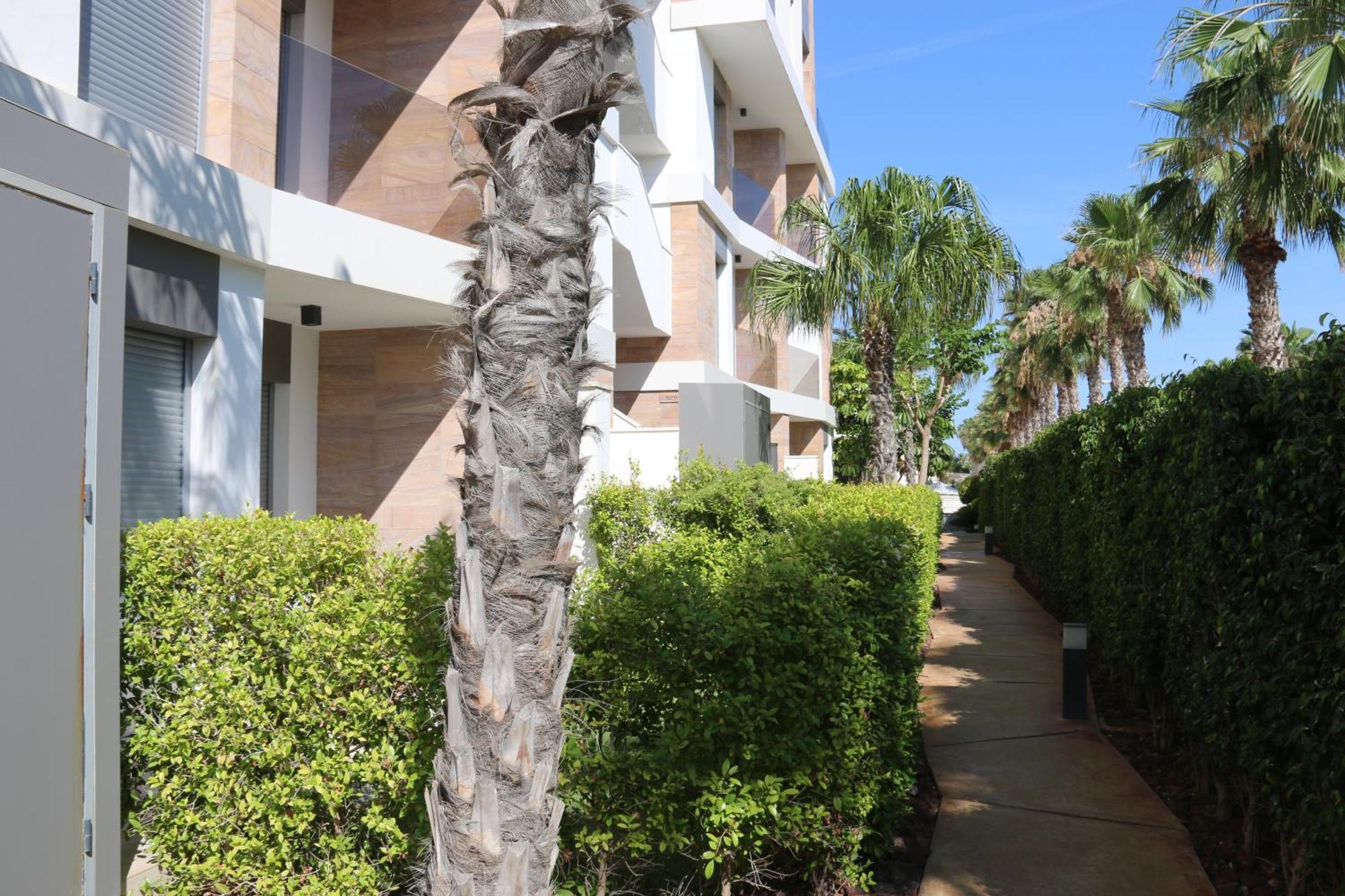 Luxusni Apartman Ve Spanelsku, Cabo Roig Ориуэла Экстерьер фото